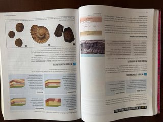 Proyecto: FanFest - Biología, Geología y Cienci...