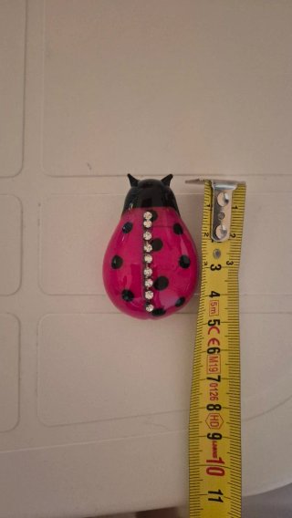 Coccinelle e coralli decorativi