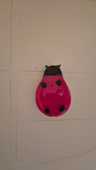 Coccinelle e coralli decorativi