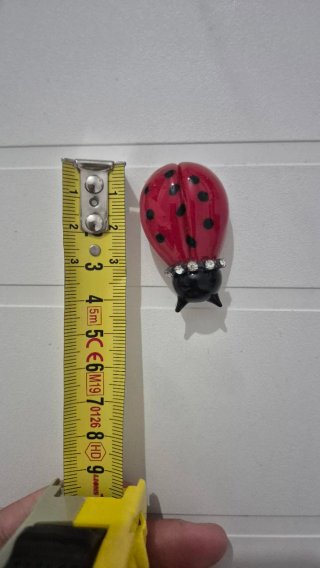 Coccinelle e coralli decorativi