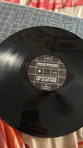 Lote 10 Vinilos Deephouse