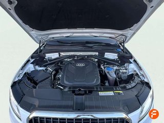 Audi Q5 2.0 TDI clean 190CV quatt S tro Advanced