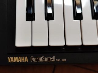 Teclado Yamaha PSS-560