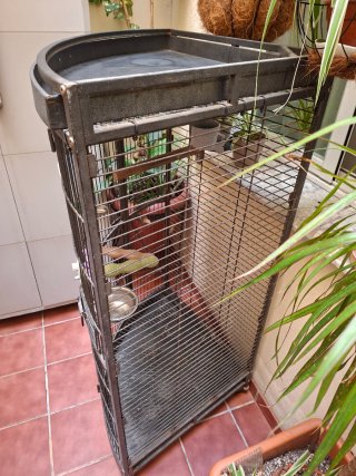 Jaula Esquinera para Loros