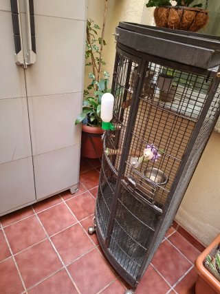 Jaula Esquinera para Loros