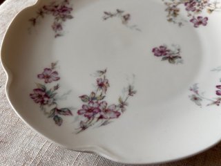 2 Platos Haviland Limoges 19 cm