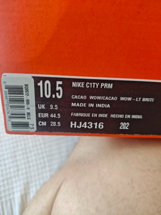 Nike City PRM Beige/Marrón