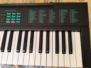 Teclado Yamaha PSR-6