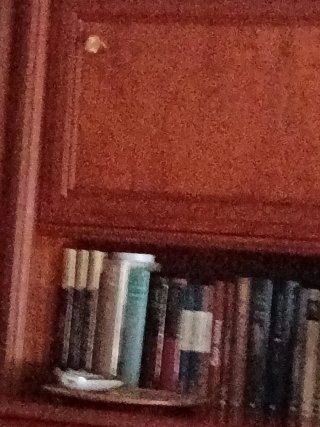 1 encicl. Salvat perfecto estado y unos 35 libros.