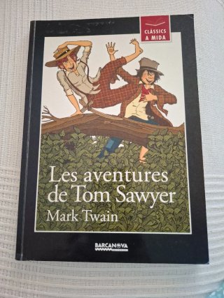 Les aventures de Tom Sawyer