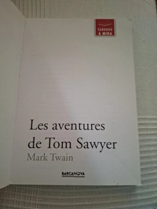 Les aventures de Tom Sawyer