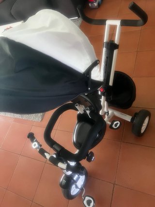 Triciclo evolutivo Twister