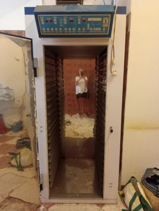Cámara de fermentación controlada para panadería