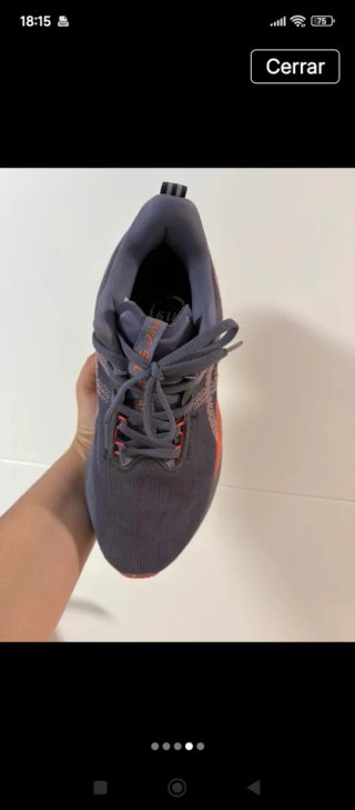 Zapatillas Asics Novablast Talla 40