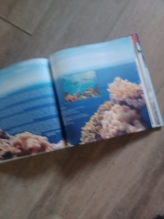 Libro Sellos España y Andorra 2013