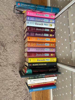 Se regala lote de libros