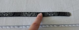 Cinturón estampado