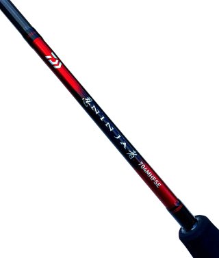 Caña de pescar Daiwa