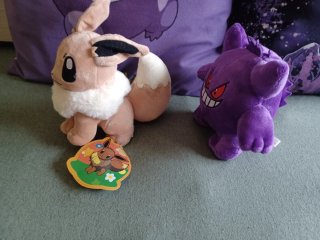Peluches Pokémon Nuevos