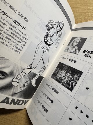 Fatal Fury SNK Neo Geo AES NeoGeo NG Jap