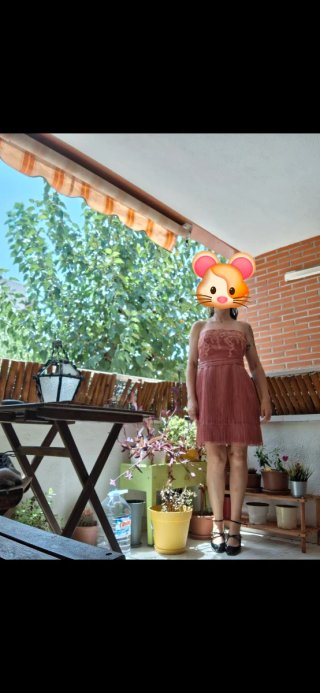 Vestido de fiesta rosa con flecos