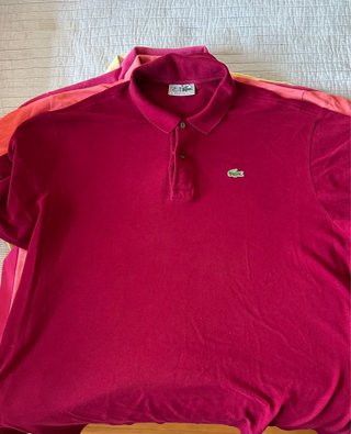 Polos Lacoste Talla 8 (3XL)
