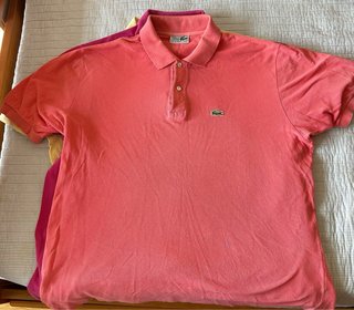 Polos Lacoste Talla 8 (3XL)