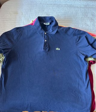 Polos Lacoste Talla 8 (3XL)