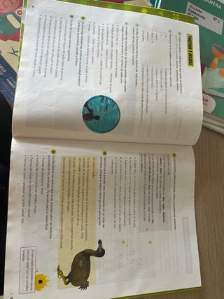 Lengua castellana y literatura 3 Saberes básico...