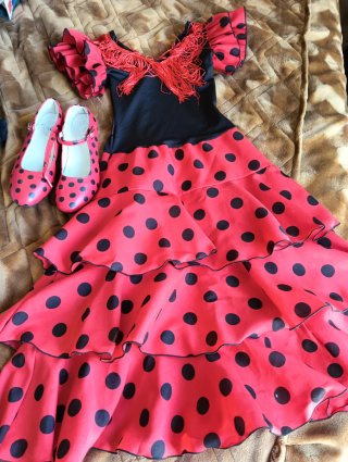 Vestido Flamenco y Zapatos Talla 36