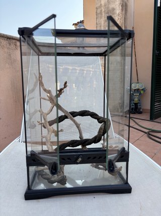 Terrario para camaleón