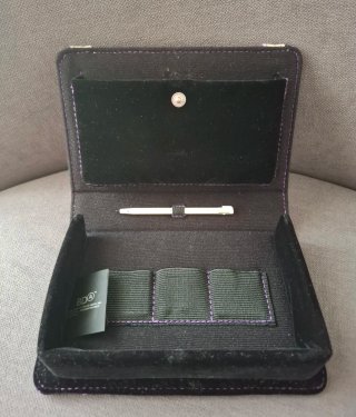 Nintendo DS