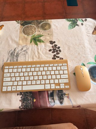 Teclado y ratón inalámbricos