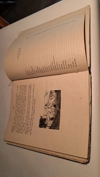 Libro Antigüo Viajando por España Onieva Burgos