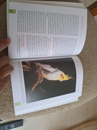El Gran Libro de las Carolinas