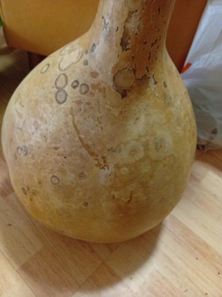 Calabaza seca decorativa