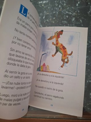 La gota de lluvia