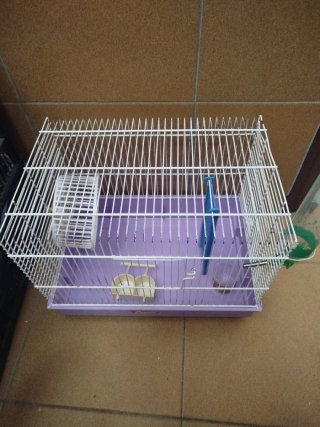 Jaula Hámster Morada con Accesorios