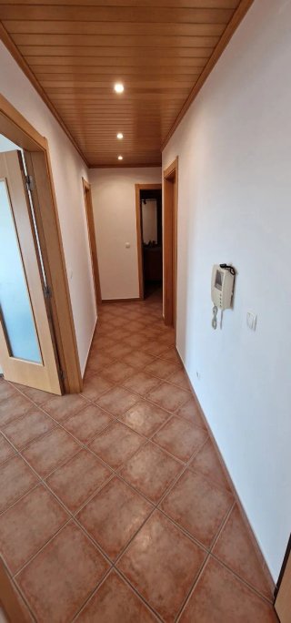 Servicios de pintura profesional