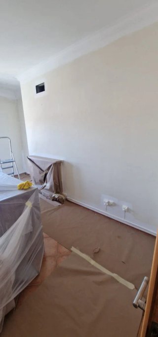 Servicios de pintura profesional