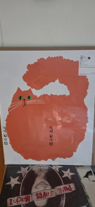 Cuadro gato naranja y verde