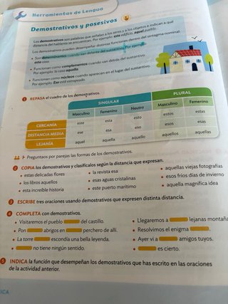 Lengua castellana, 5 Primaria