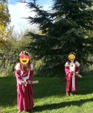 Vestido de Dama y/o princesa Medieval