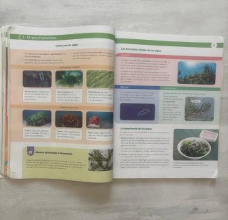 BIOLOGIA Y GEOLOGIA C-Leon 1ESO CONSTRUYENDO MU...