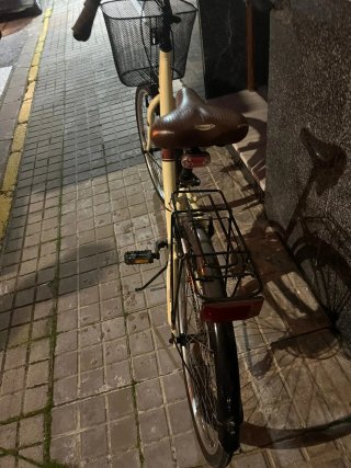 Bicicleta Paseo Vintage
