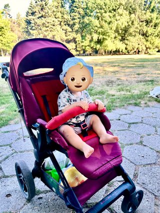 Carro Jane Muum