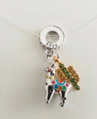 Plata 925 Charms