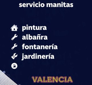 Servicio manitas
