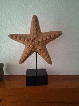 Estrella decorativa de madera