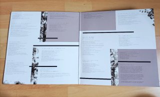 VINILO ARIANA GRANDE -MY EVERYTHING
